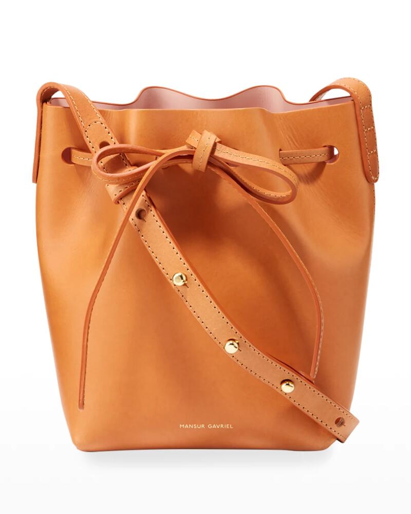 Mansur Gavriel Mini Mini Vegetable-Tanned Leather Bucket Bag Cover