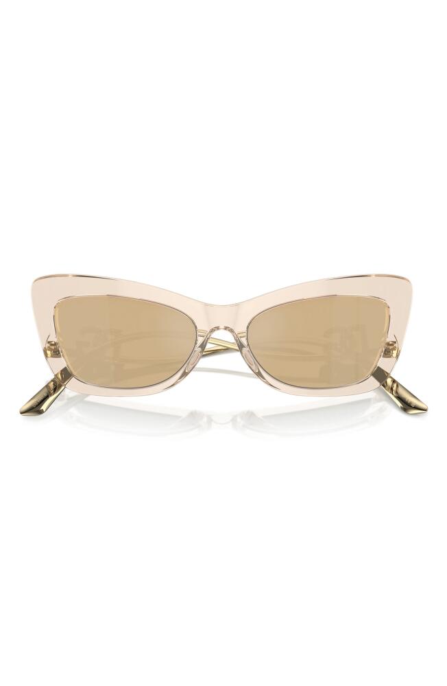 Dolce & Gabbana 55mm Cat Eye Sunglasses in Camel Cover