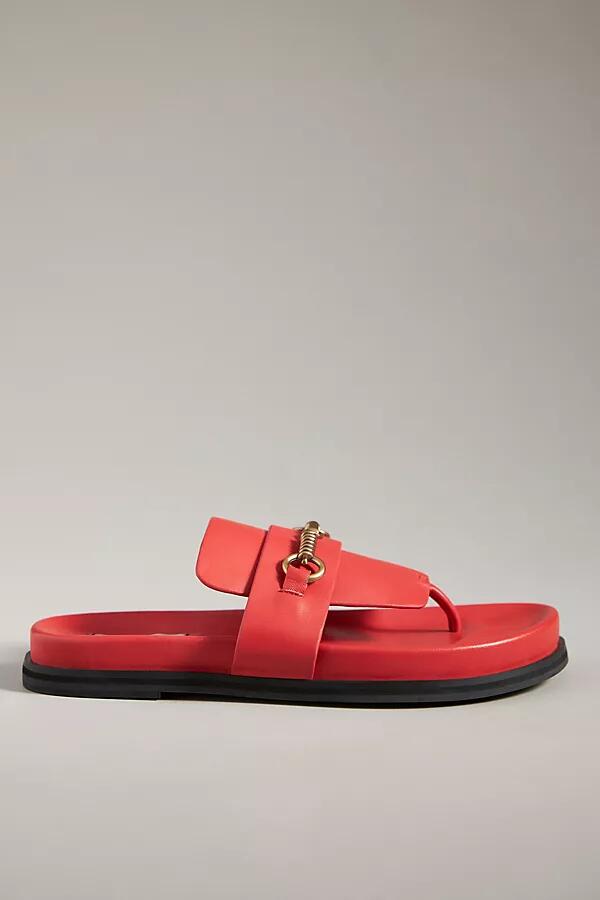 Bibi Lou Thong Sandals Cover