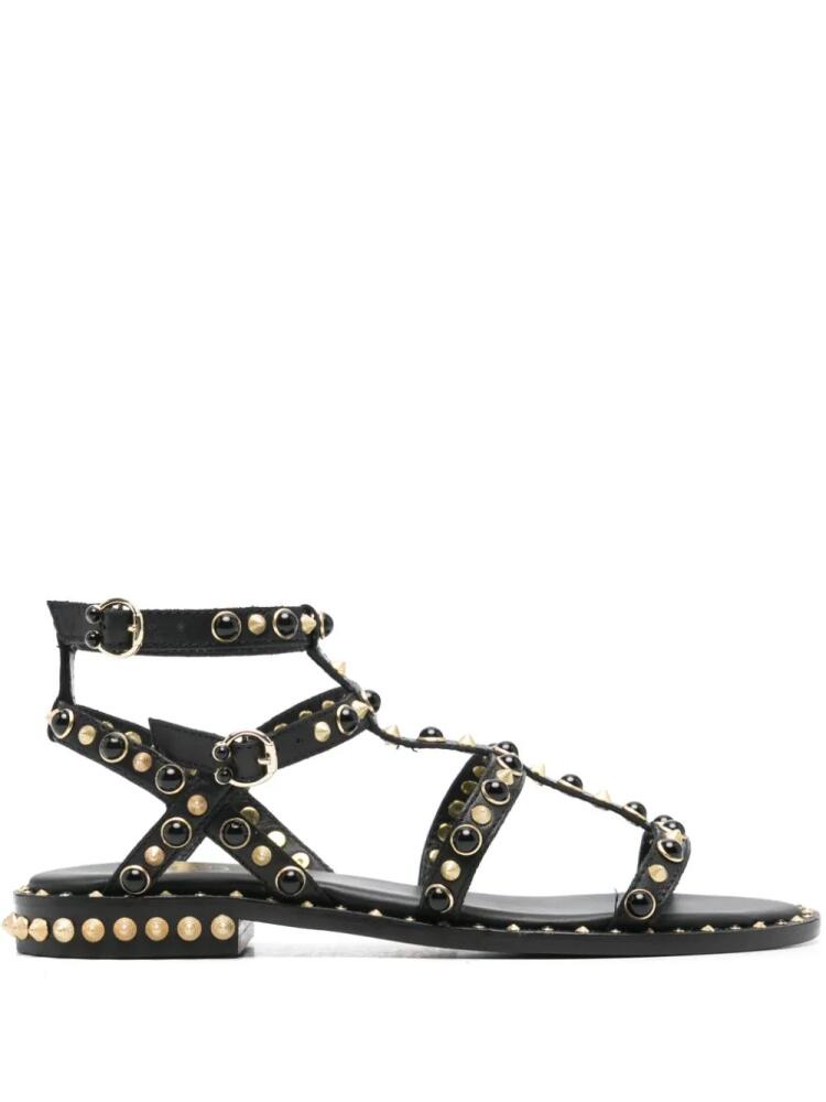 Ash stud-embellished leather flat sandals - Black Cover