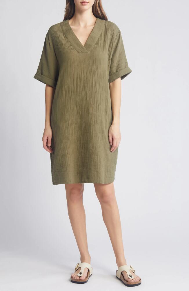 caslon(r) Cotton Gauze Shift Dress in Olive Burnt Cover