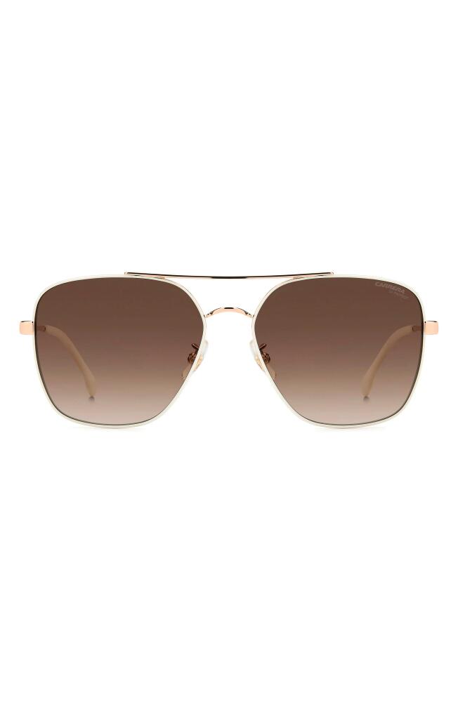 Carrera Eyewear 60mm Gradient Square Sunglasses in White Copper Gold/Brown Cover