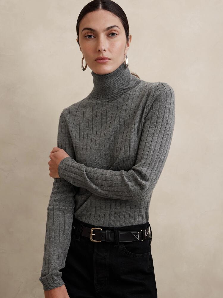 Banana Republic Nezha Merino Turtleneck Sweater Cover