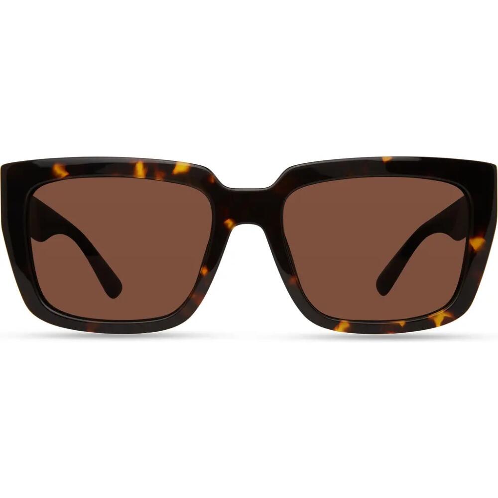 Derek Lam 10 Crosby Aero Sunglasses in Tortoise Cover