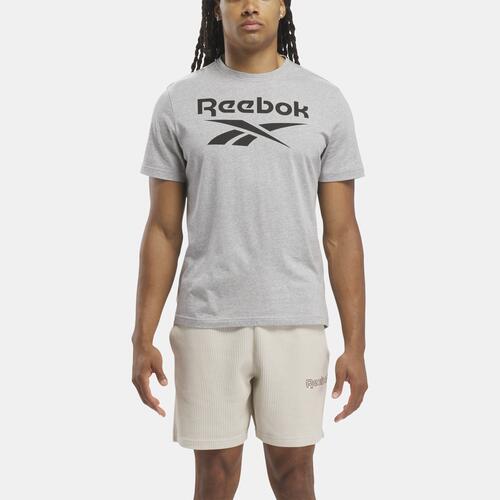 Reebok Identity Big Logo T-Shirt - Mens Grey Cover