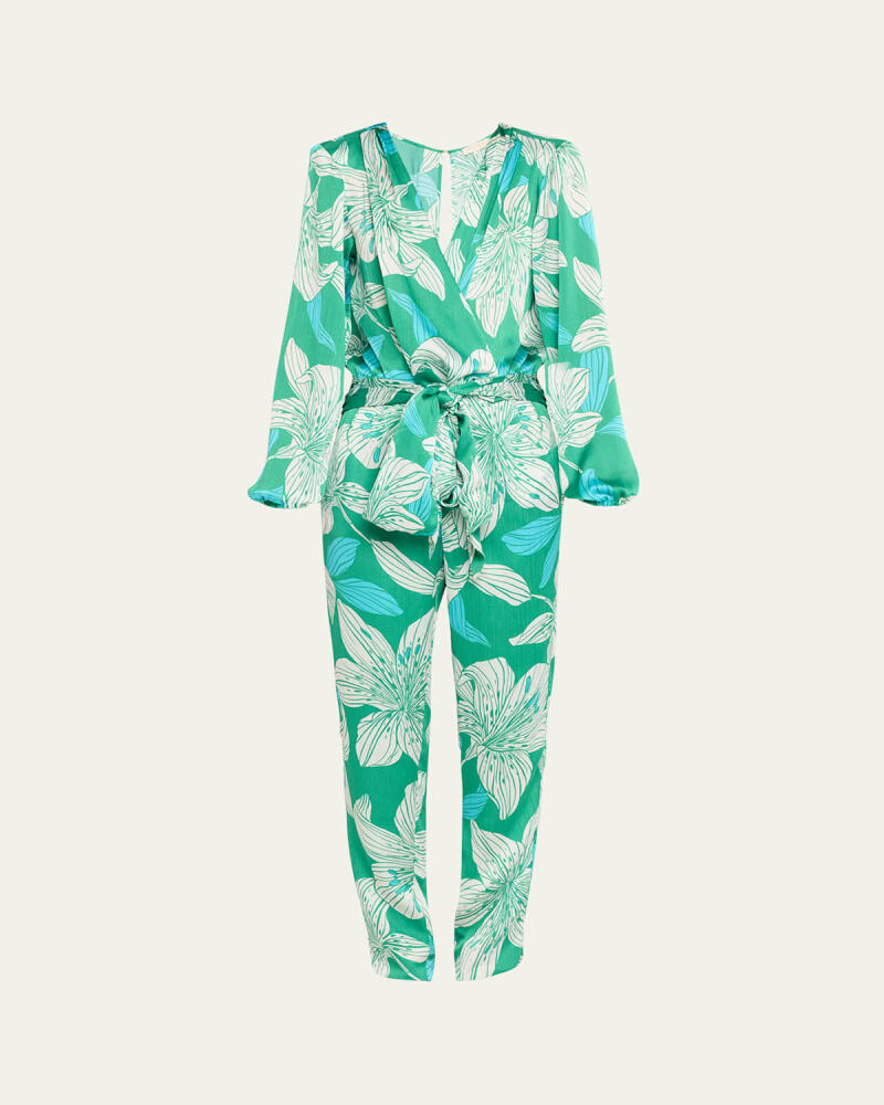 Ramy Brook Valery Lily-Printed Satin Jumpsuit Cover