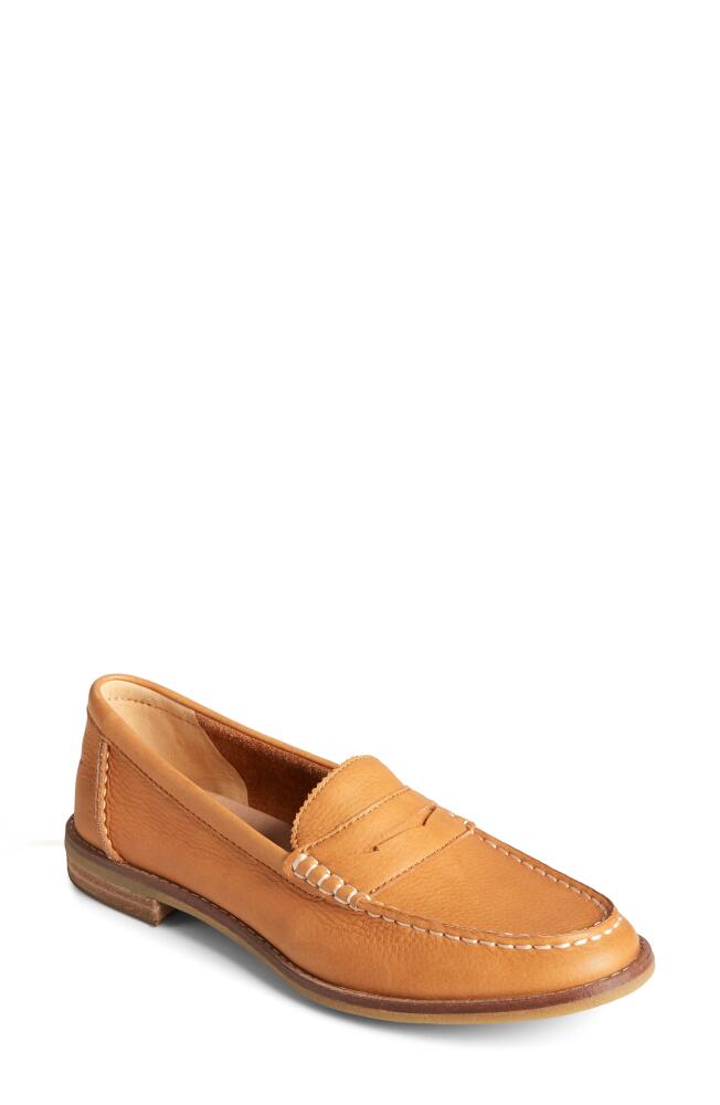 Sperry Seaport Penny Loafer in Tan Cover