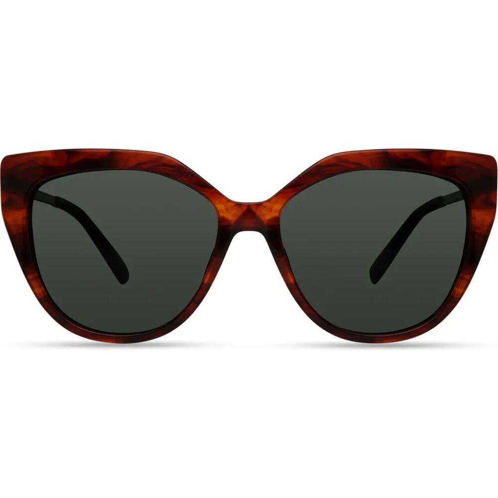 Derek Lam 10 Crosby Campbell Sunglasses in Tiger Stripe Cover