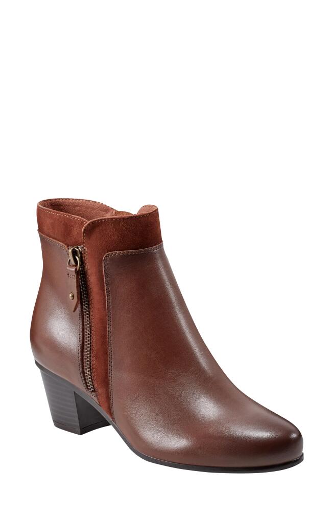 Rockport Cobb Hill Wynter Bootie in Medium Brown Cover