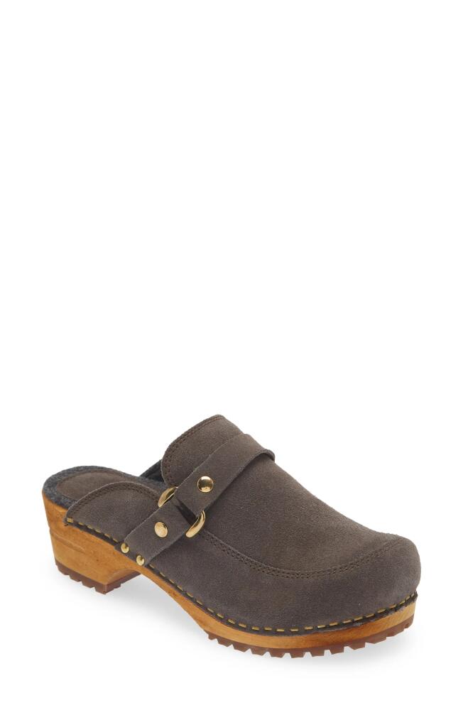 Sanita Lissy Clog in Dark Grey Cover