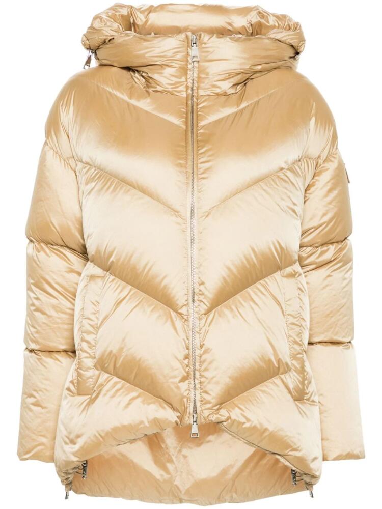 Add hooded down jacket - Gold Cover