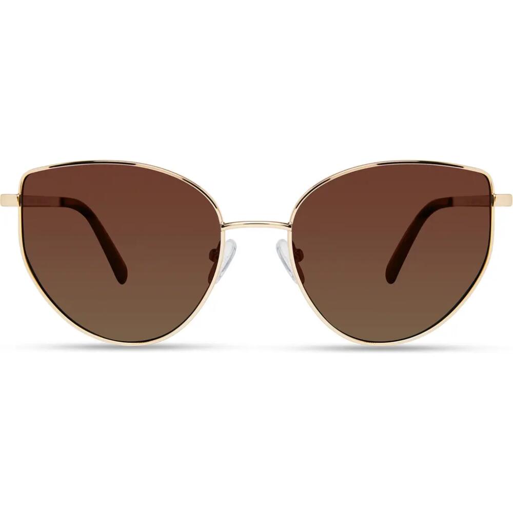 Derek Lam 10 Crosby Kirby Sunglasses in Gold Pink Cover