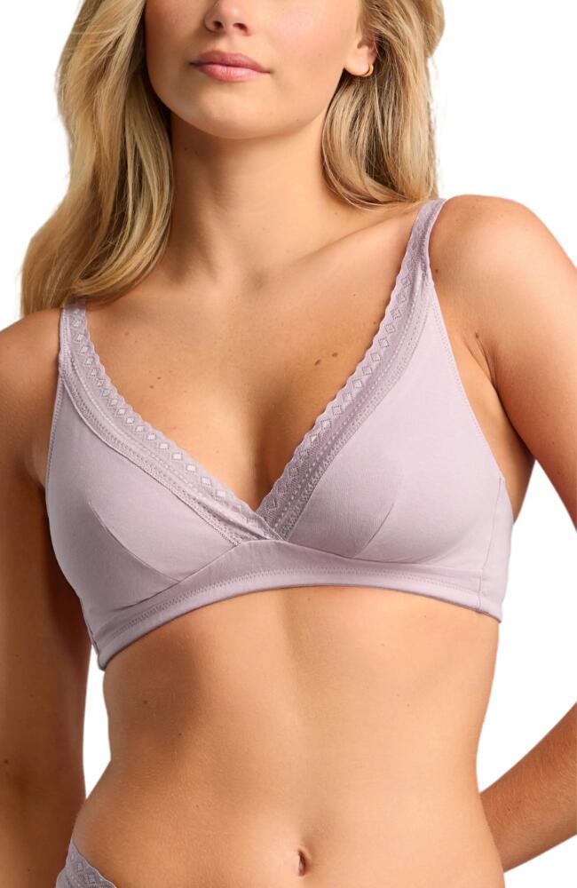 Siella Organic Cotton Plunge Bra with Lace in Dusty Lavender Cover