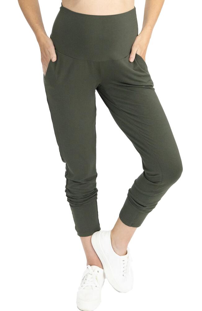 Angel Maternity Tapered Casual Maternity Pants in Khaki Cover