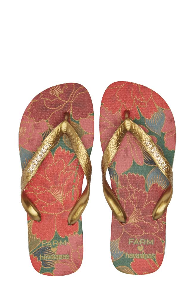 Havaianas x Farm Rio Parrot Floral Flip Flop in Pantanal Green/Red Cover