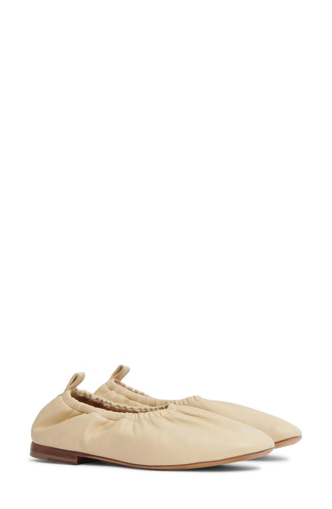 Mansur Gavriel Glove Ballet Flat in Dune Cover