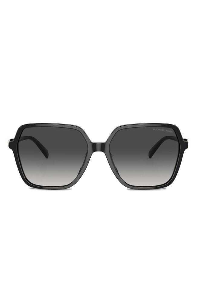 Michael Kors Jasper 58mm Square Sunglasses in Black Cover