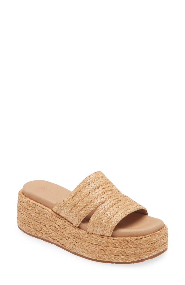 Chocolat Blu Larra Platform Slide Sandal in Toast Raffia Cover