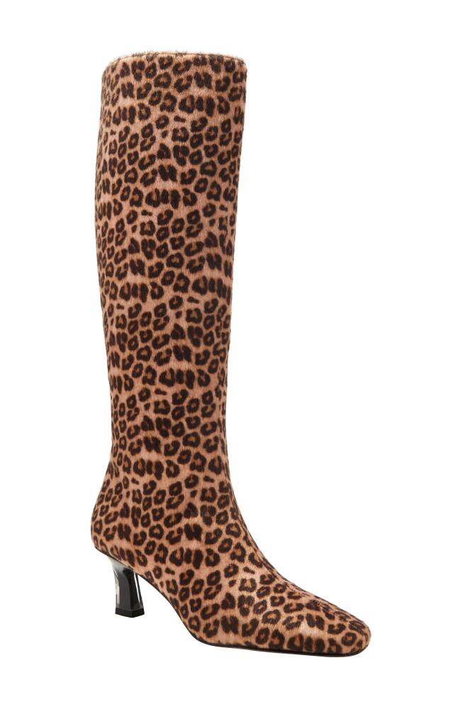 Katy Perry The Zaharrah Knee High Boot in Leopard Multi Cover