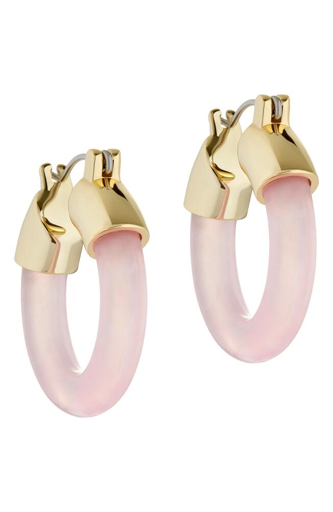 Ted Baker London Marblla Hoop Earrings in Gold Tone/Pink Cover