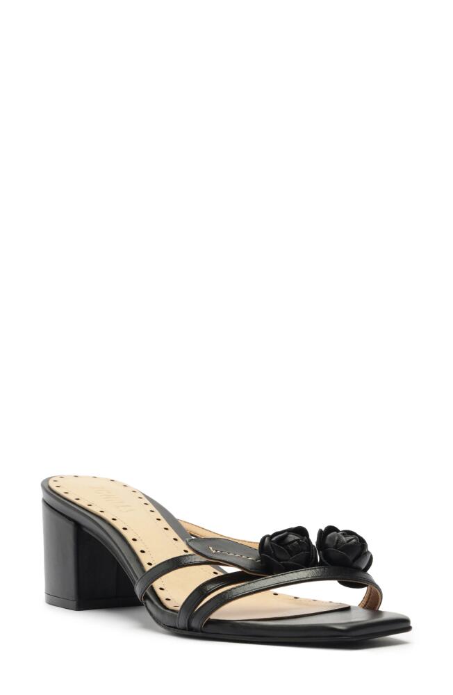 Schutz Alma Slide Sandal in Black Cover