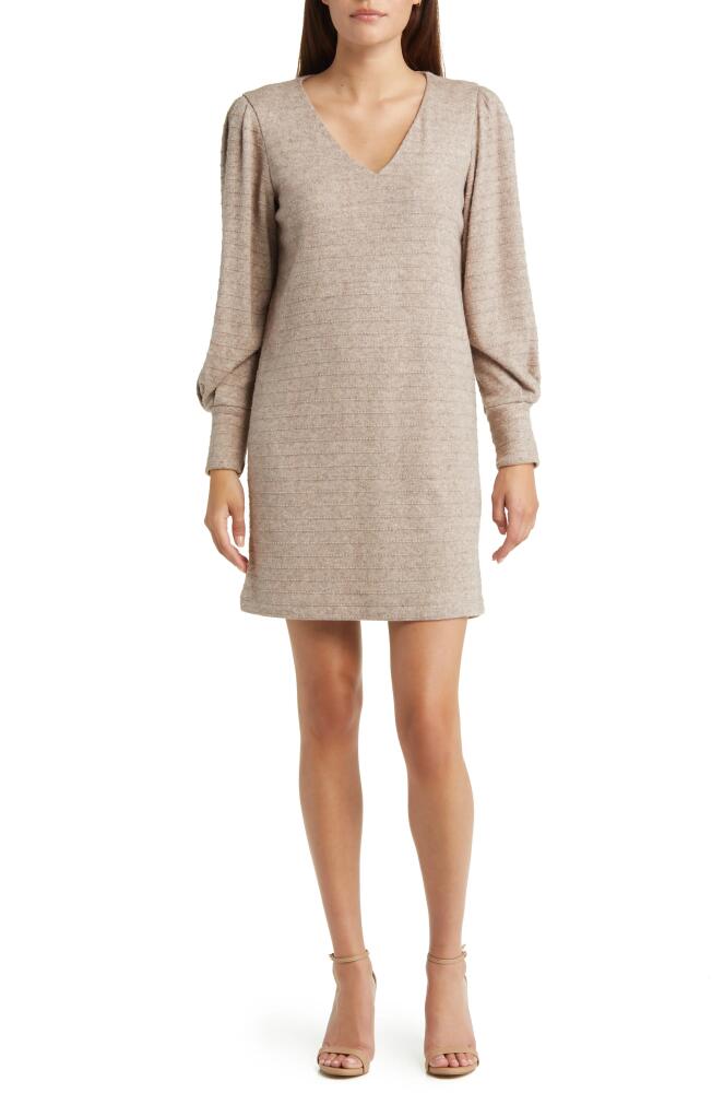 Julia Jordan Long Sleeve Sweater Minidress in Oatmeal Cover