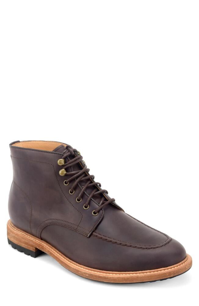 Warfield & Grand Trench Lace-Up Boot in Dark Brown Cover