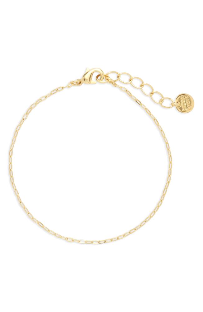 Brook and York Carly Chain Link Bracelet in Gold Cover