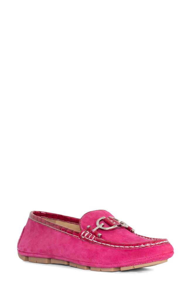 Donald Pliner Giovanna Bit Driving Loafer in Magenta Cover