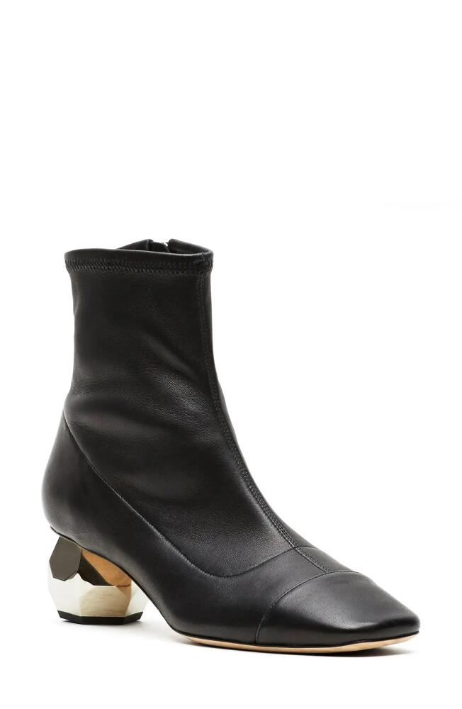 Frances Valentine Marni Bootie in Black Cover