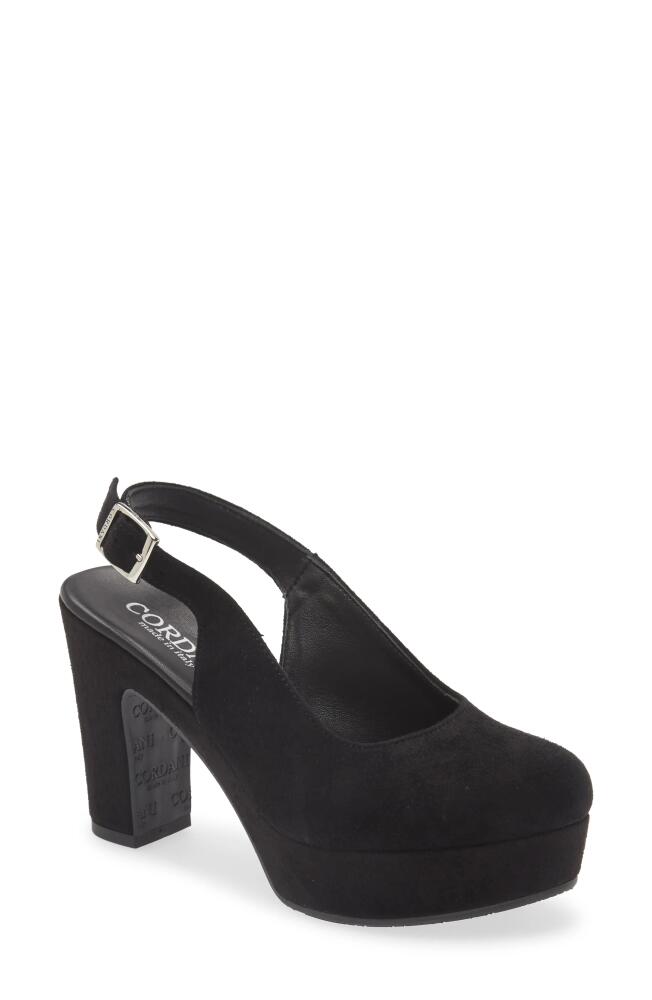 Cordani Torrie Platform Slingback Pump in Black Suede Cover