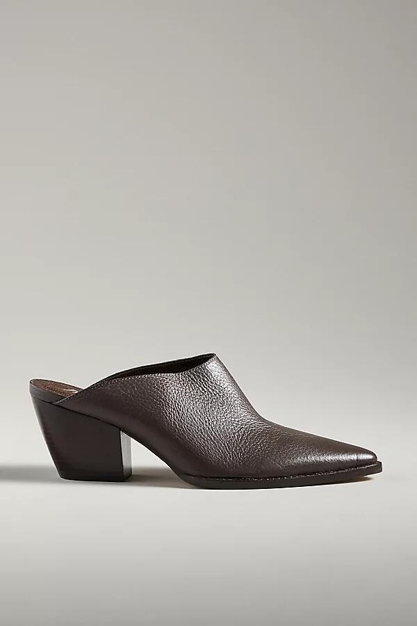 Matisse Cammy Pointed-Toe Mules Cover