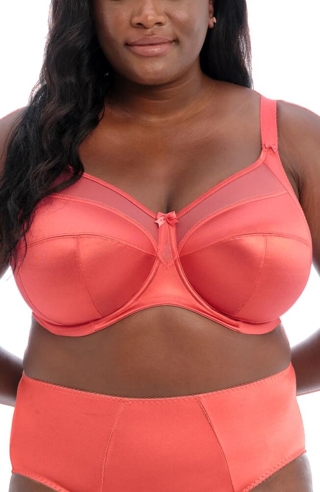 Goddess Keira Full Figure Underwire Bra in Mineral Red Cover