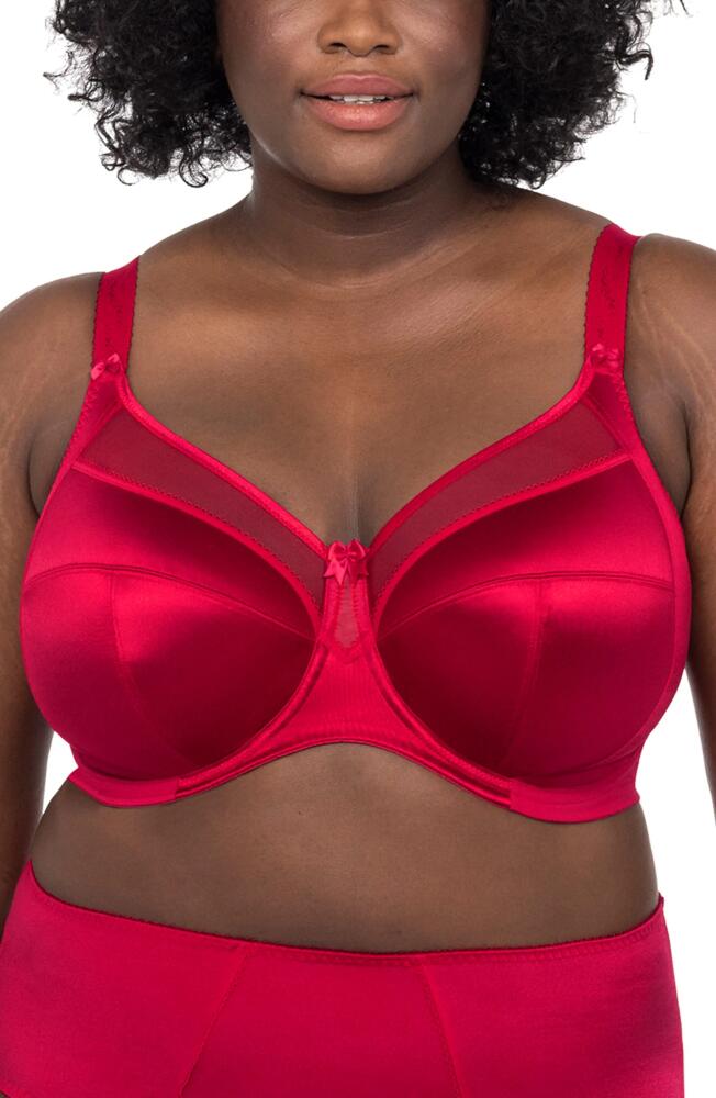 Goddess Keira Full Figure Underwire Bra in Crimson Cover