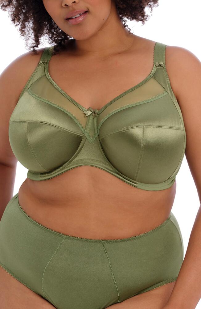 Goddess Keira Full Figure Underwire Bra in Olive Cover