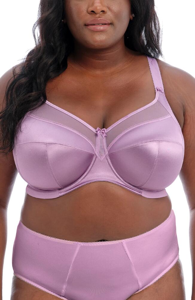 Goddess Keira Full Figure Underwire Bra in Wisteria Cover