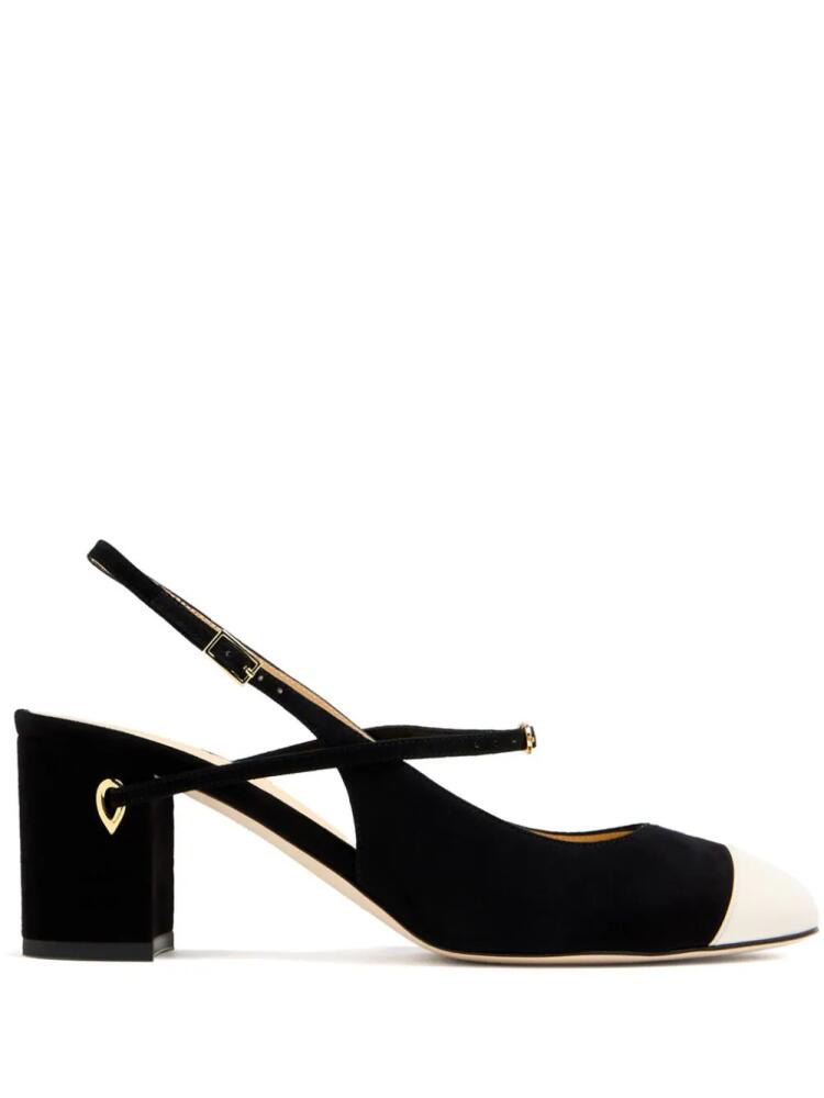 Jennifer Chamandi 65mm Mattia pumps - Black Cover