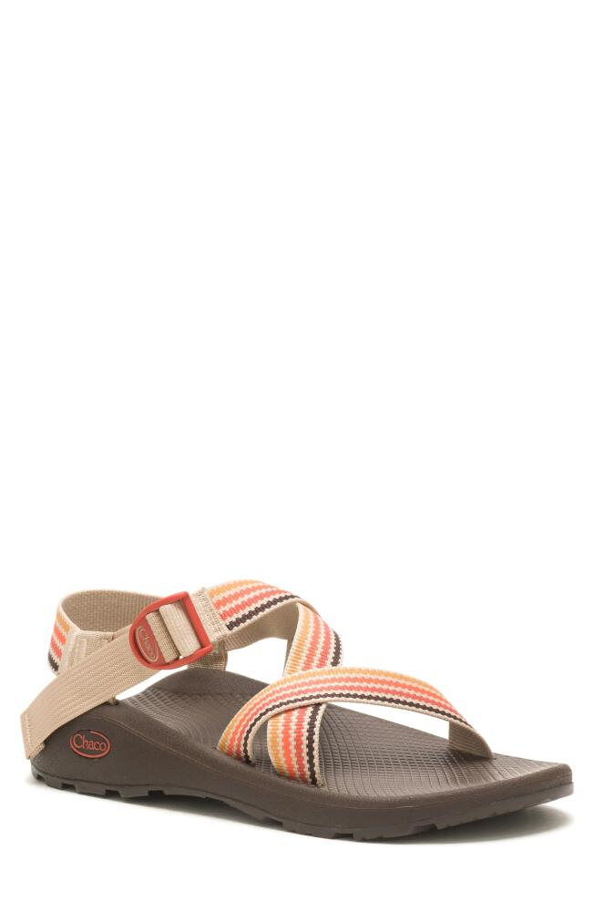 Chaco Z/Cloud Sport Sandal in Scoop Dusk Cover