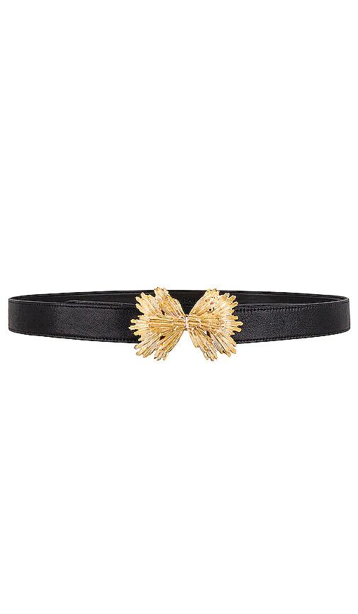 Raina Starburst Belt in Black Cover