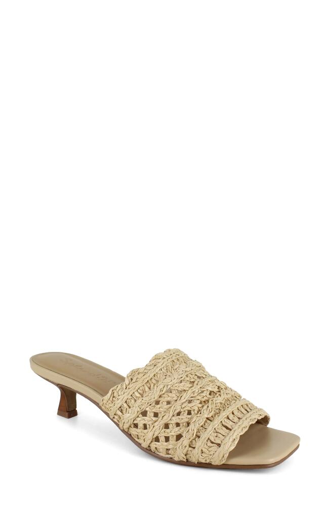 Splendid Hampton Slide Sandal in Natural Cover