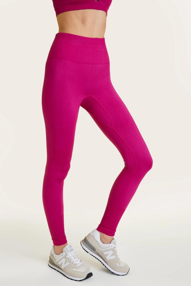 ALALA Barre Seamless Tight in Raspberry Cover