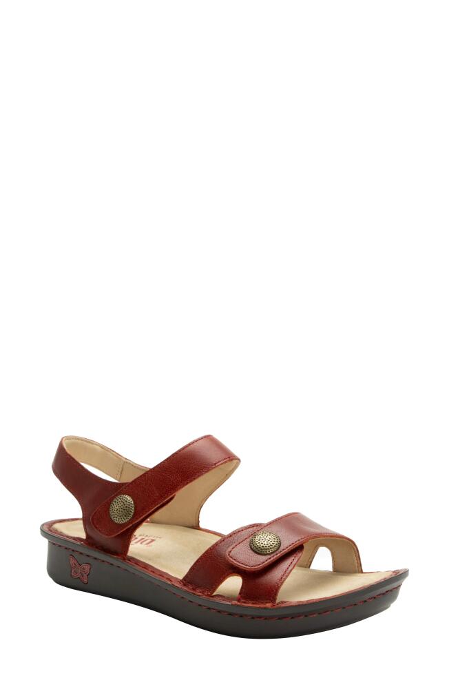 Alegria by PG Lite Vienna Sandal in Garnet Cover