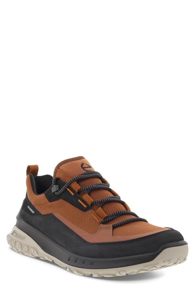 ECCO Ult-Trn Low Waterproof Hiking Shoe in Black/Cognac Cover