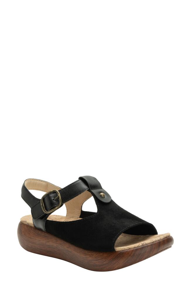 Alegria by PG Lite Betsie Slingback Platform Sandal in Stretch Black Cover