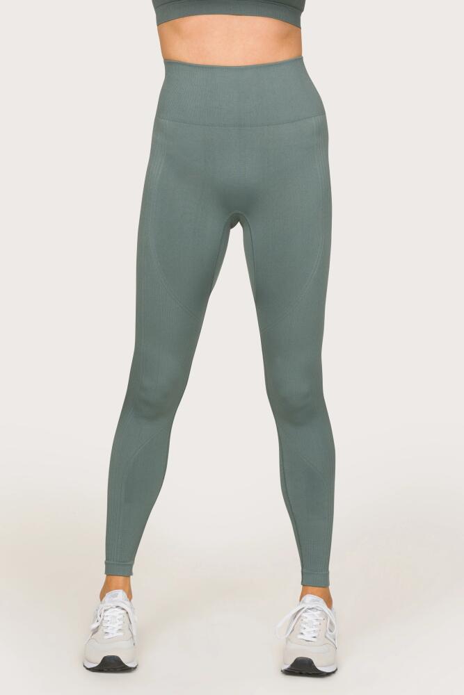 ALALA Barre Seamless Tight in Sage Cover