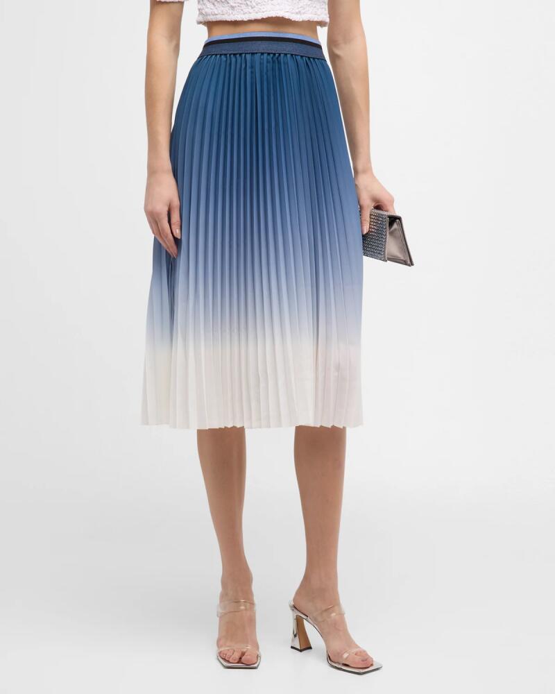 Le Superbe Pleated Ombre Skirt Cover