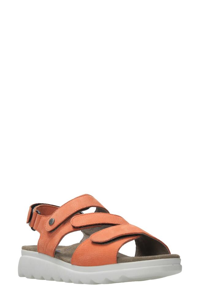 Wolky Yard Slingback Platform Wedge Sandal in Light Orange Nubuck Cover