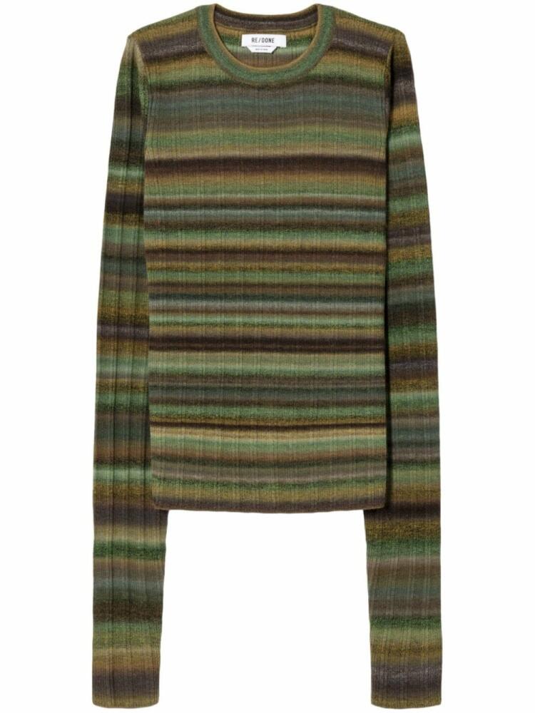 RE/DONE striped ribbed knit jumper - Green Cover