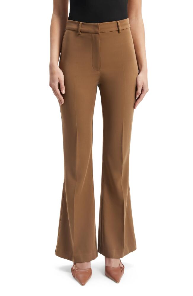 Bardot Halifax High Waist Flare Leg Pants in Chocolate Cover