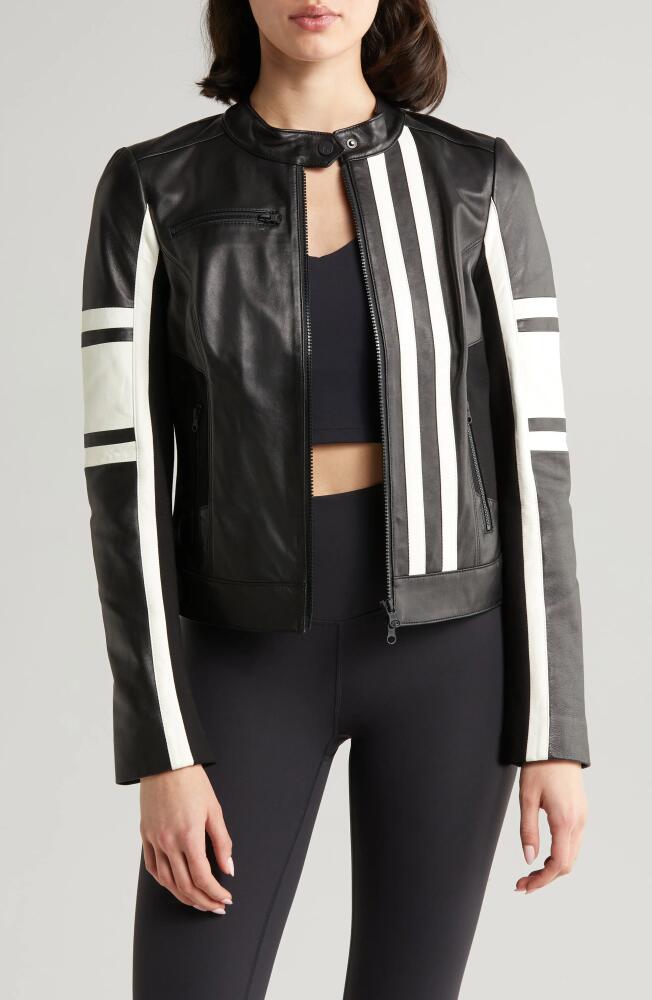 Blanc Noir Claudine Leather Racer Jacket in Black Cover